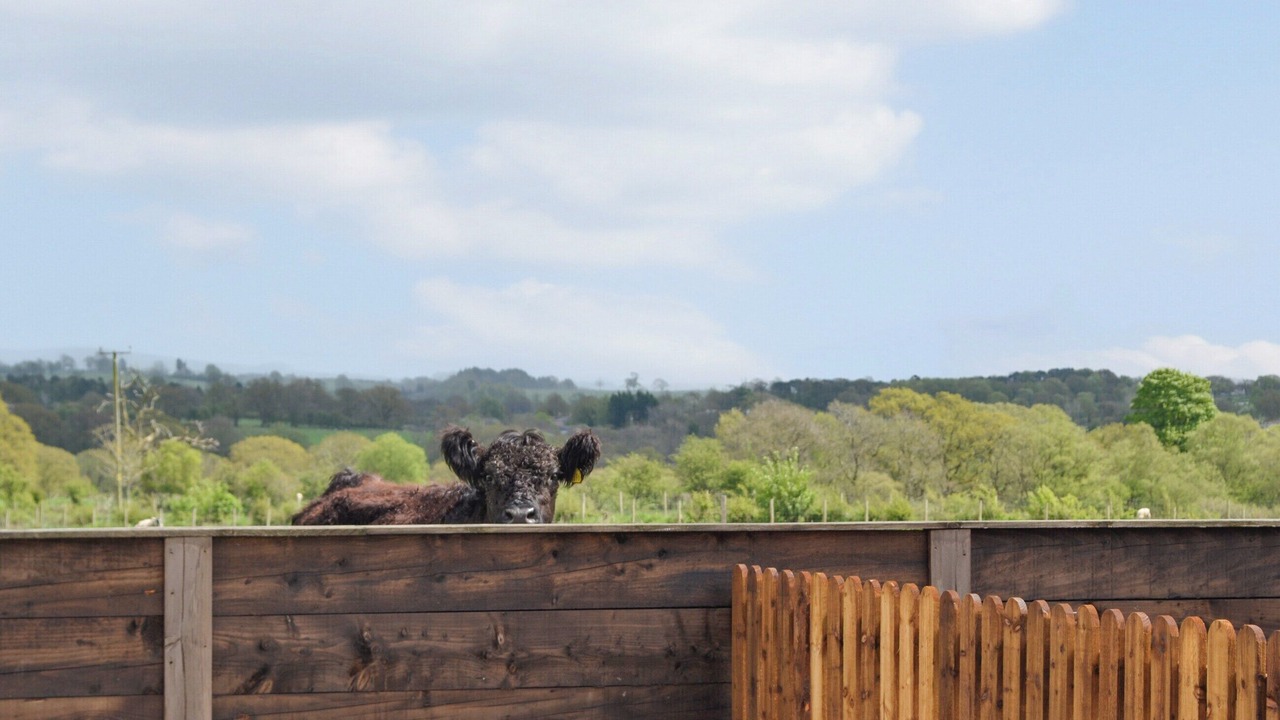 Photo of Others in Wing