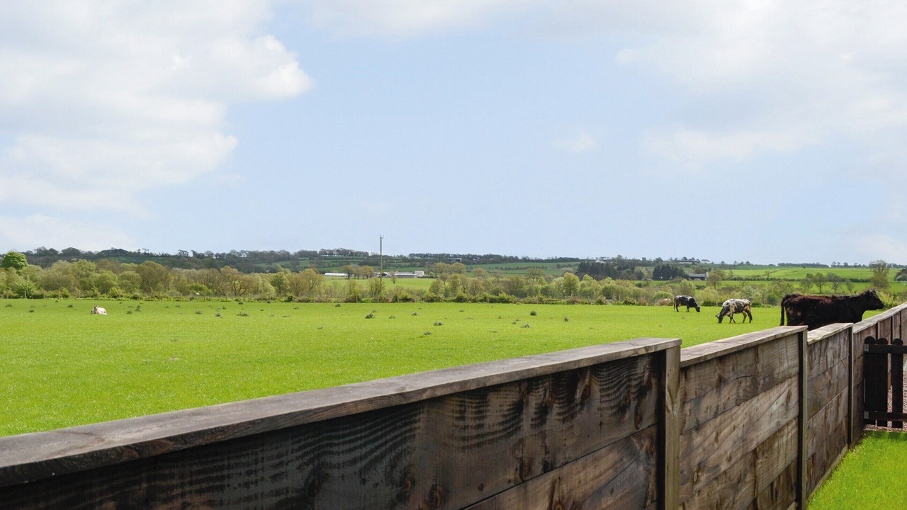 Photo of Others in Wing