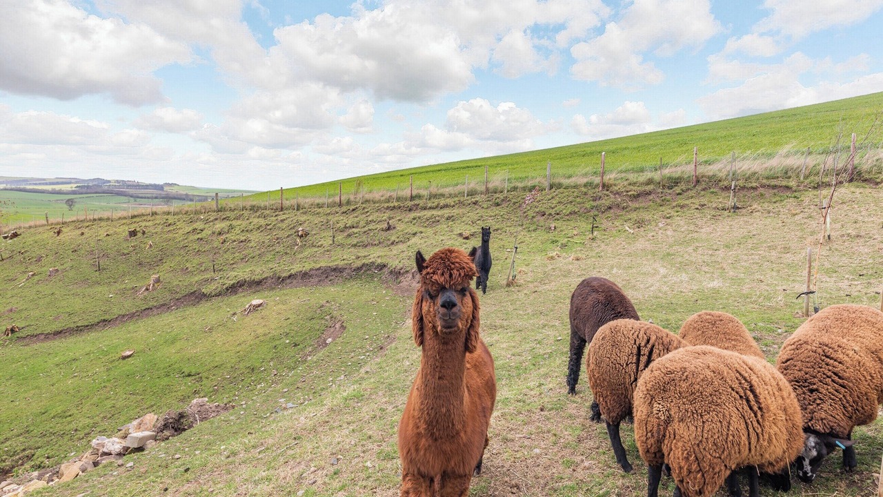 Photo of Others in Cornhill on Tweed