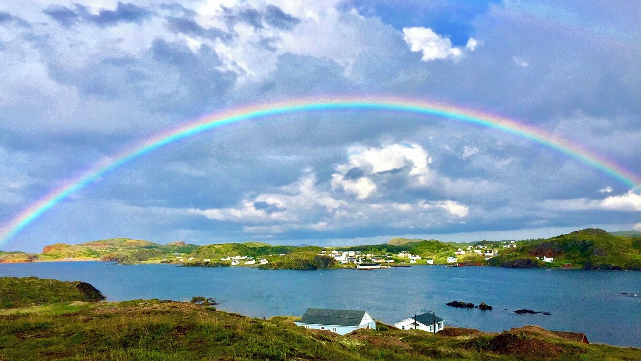 Photo of Others in Twillingate