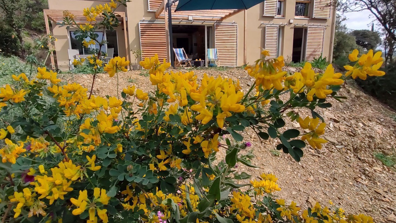 Photo of Outdoor in Roquessels