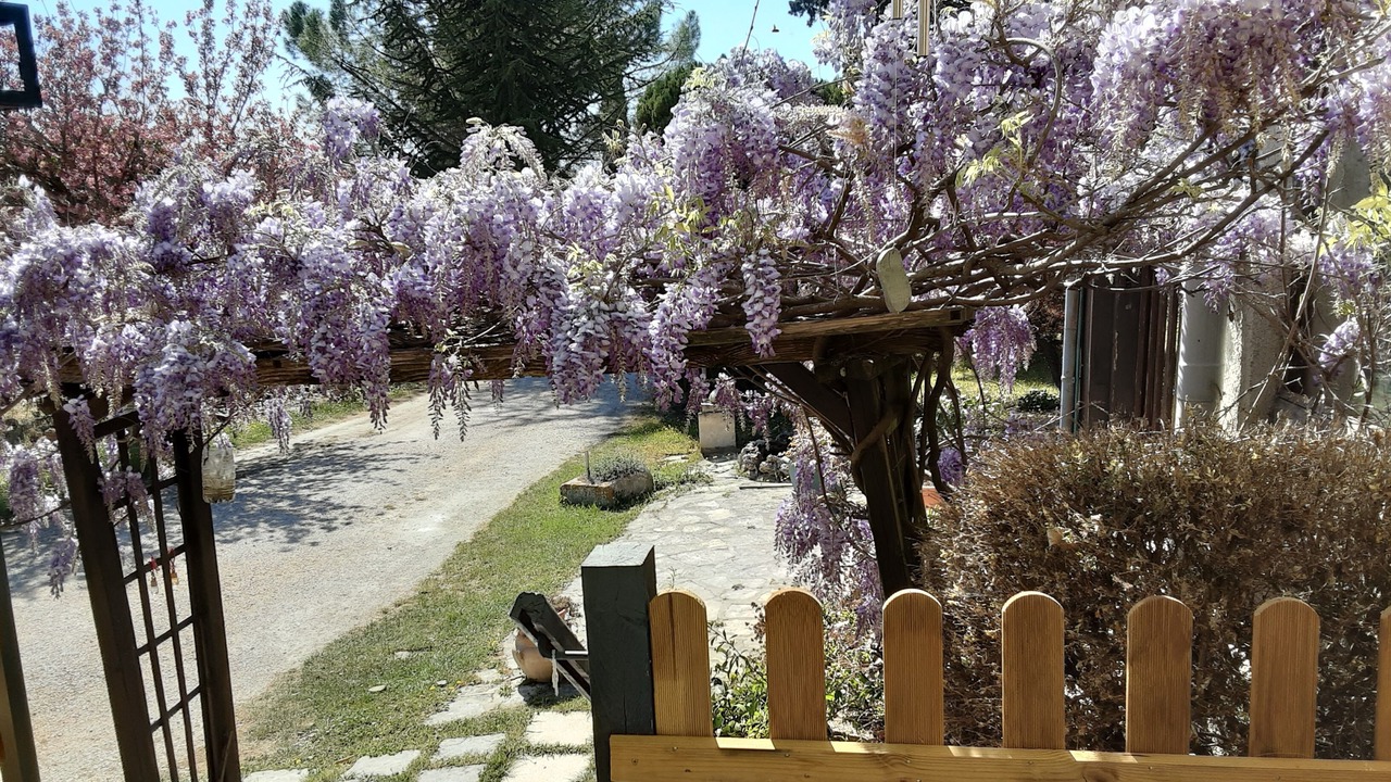 Photo of Outdoor in Barjac