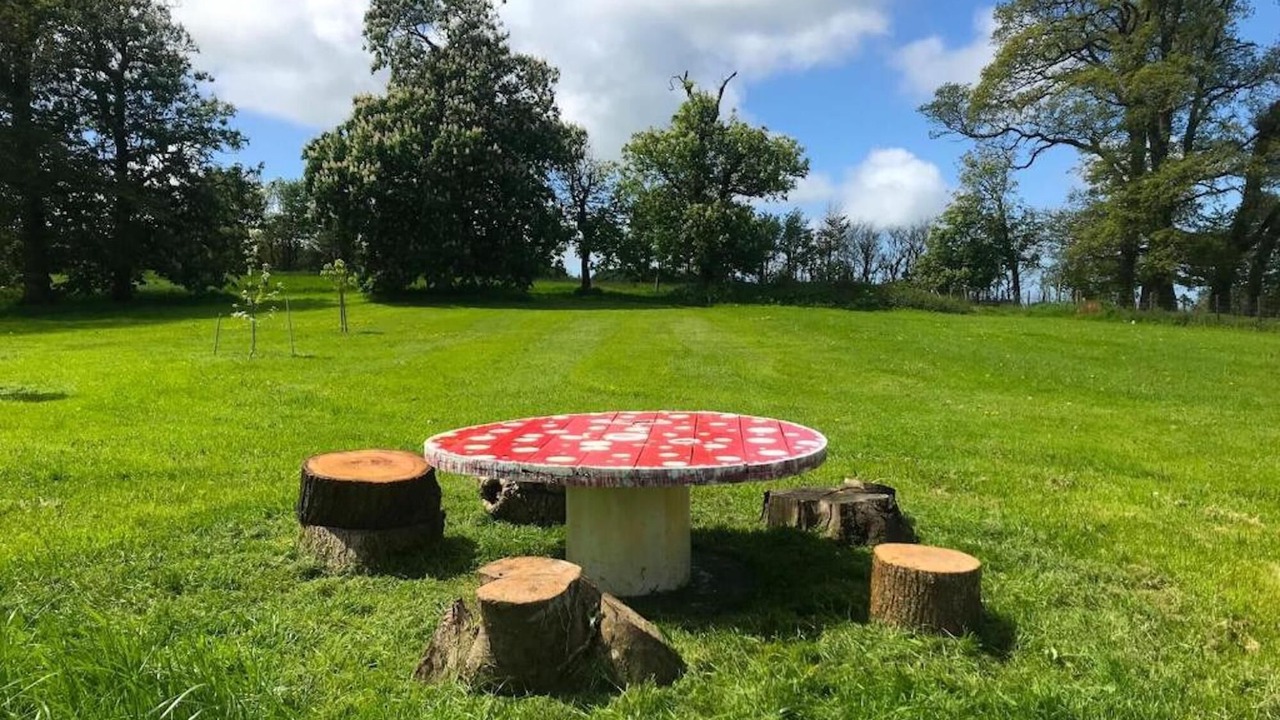 Photo of Outdoor in Barnstaple