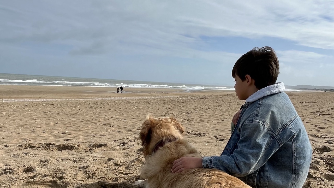 Photo of Others in Merville-Franceville-Plage