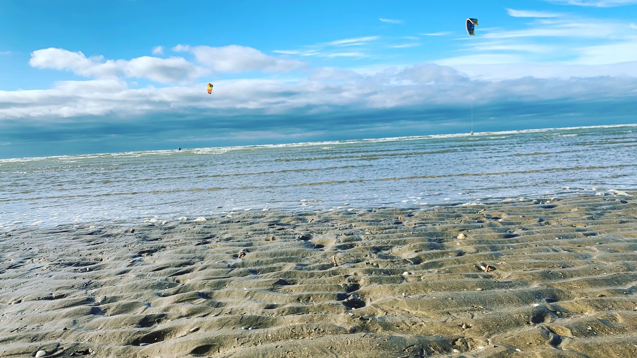Photo of Others in Dives-sur-Mer