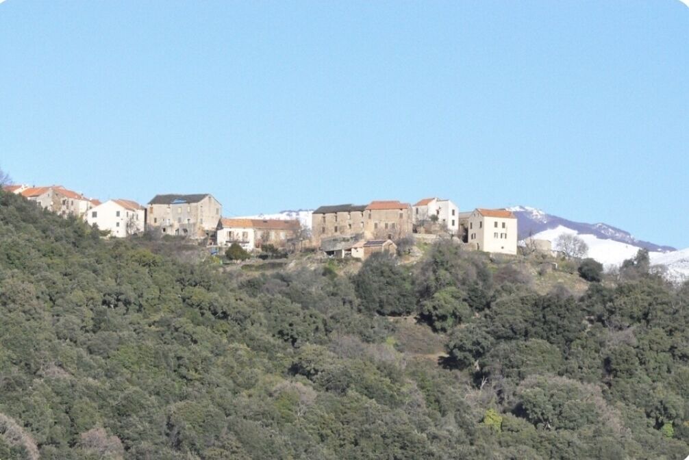 Photo of Others in Tallone