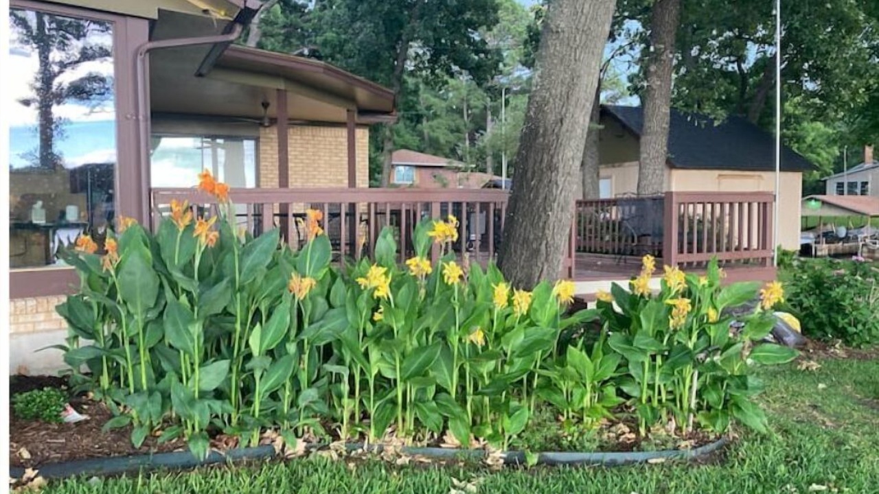 Photo of Outdoor in Leisure Land