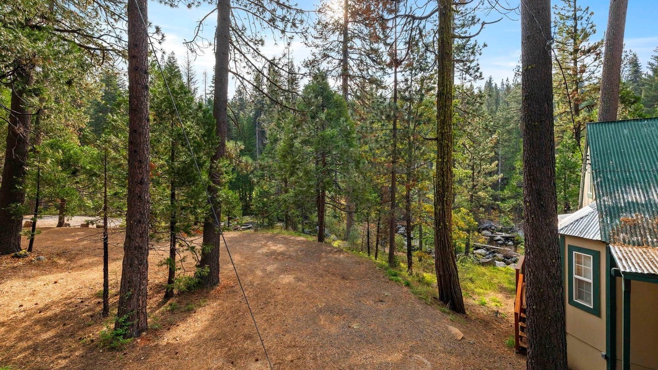 Photo of Outdoor in Strawberry