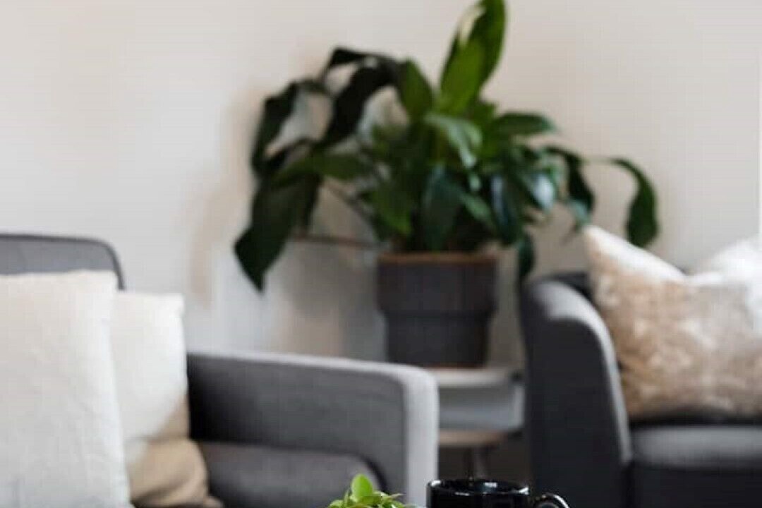 Photo of Livingroom in Garston