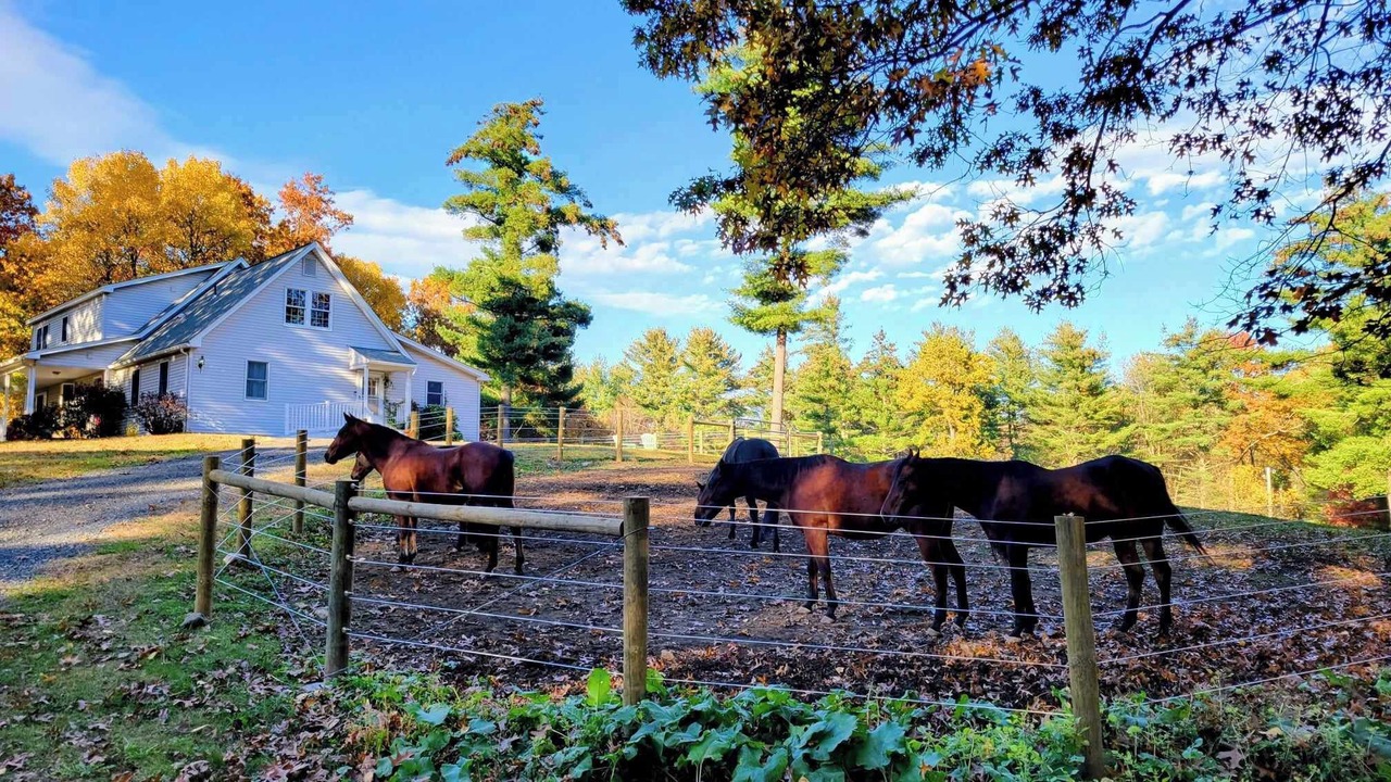 Photo of Others in Belchertown