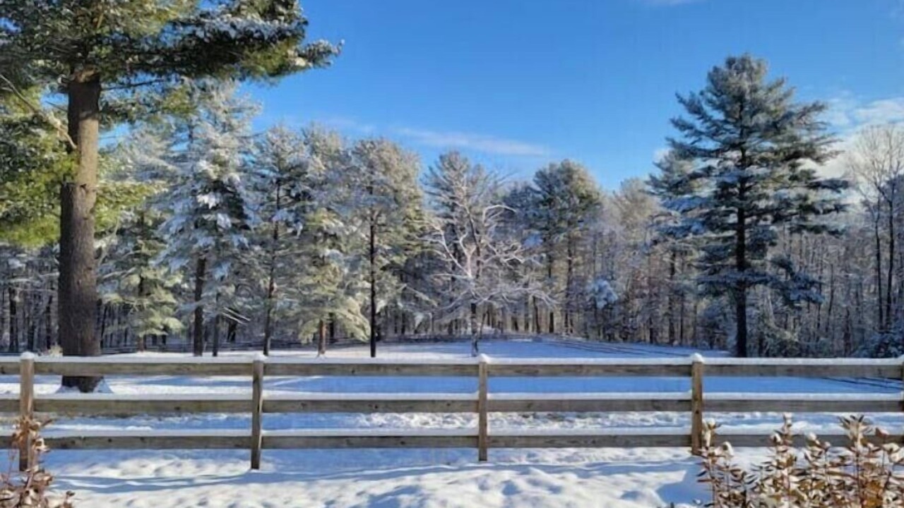 Photo of Others in Belchertown