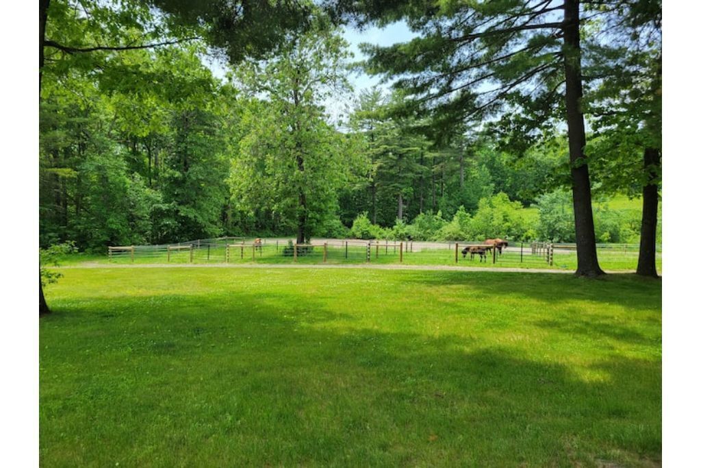 Photo of Others in Belchertown