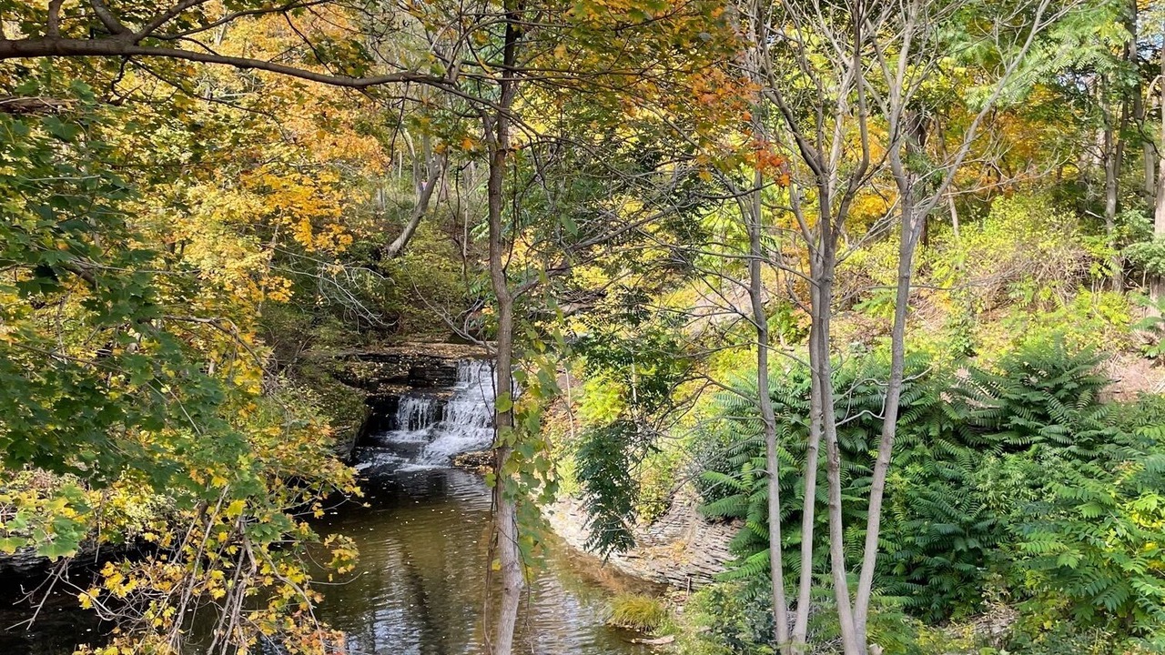 Photo of Outdoor in Burdett