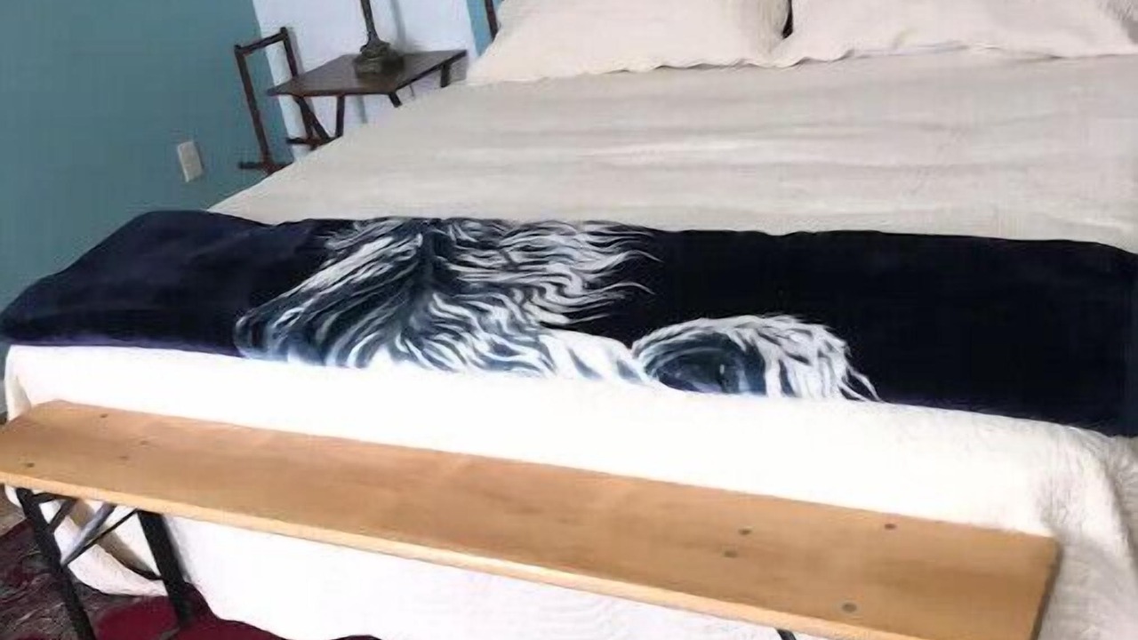 Photo of Bedroom in Boynton