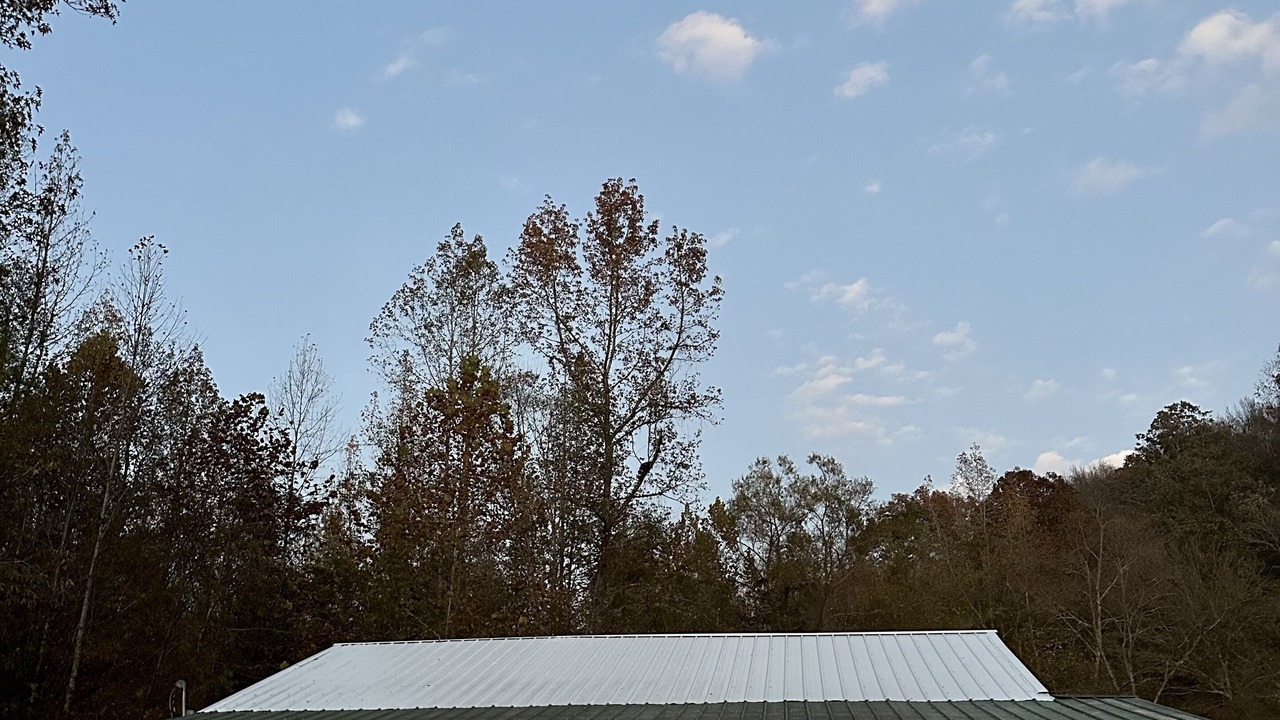 Photo of Outdoor in Wayne County