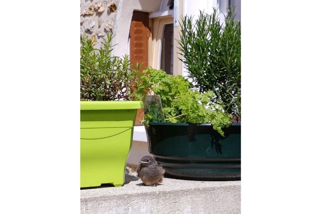 Photo of Outdoor in Changis-sur-Marne