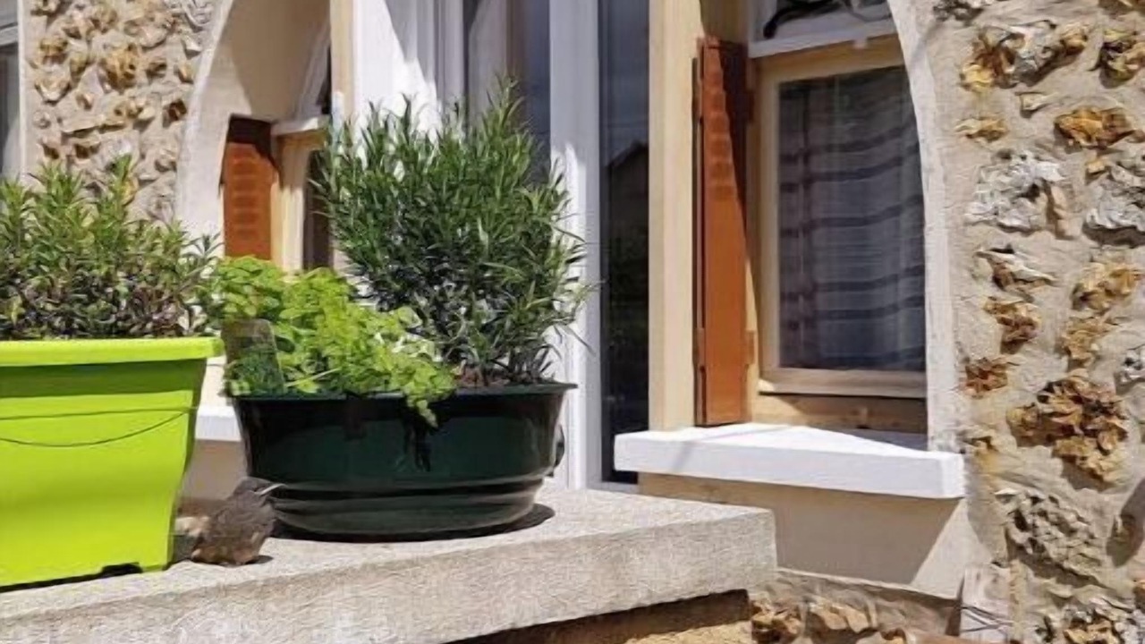 Photo of Outdoor in Changis-sur-Marne