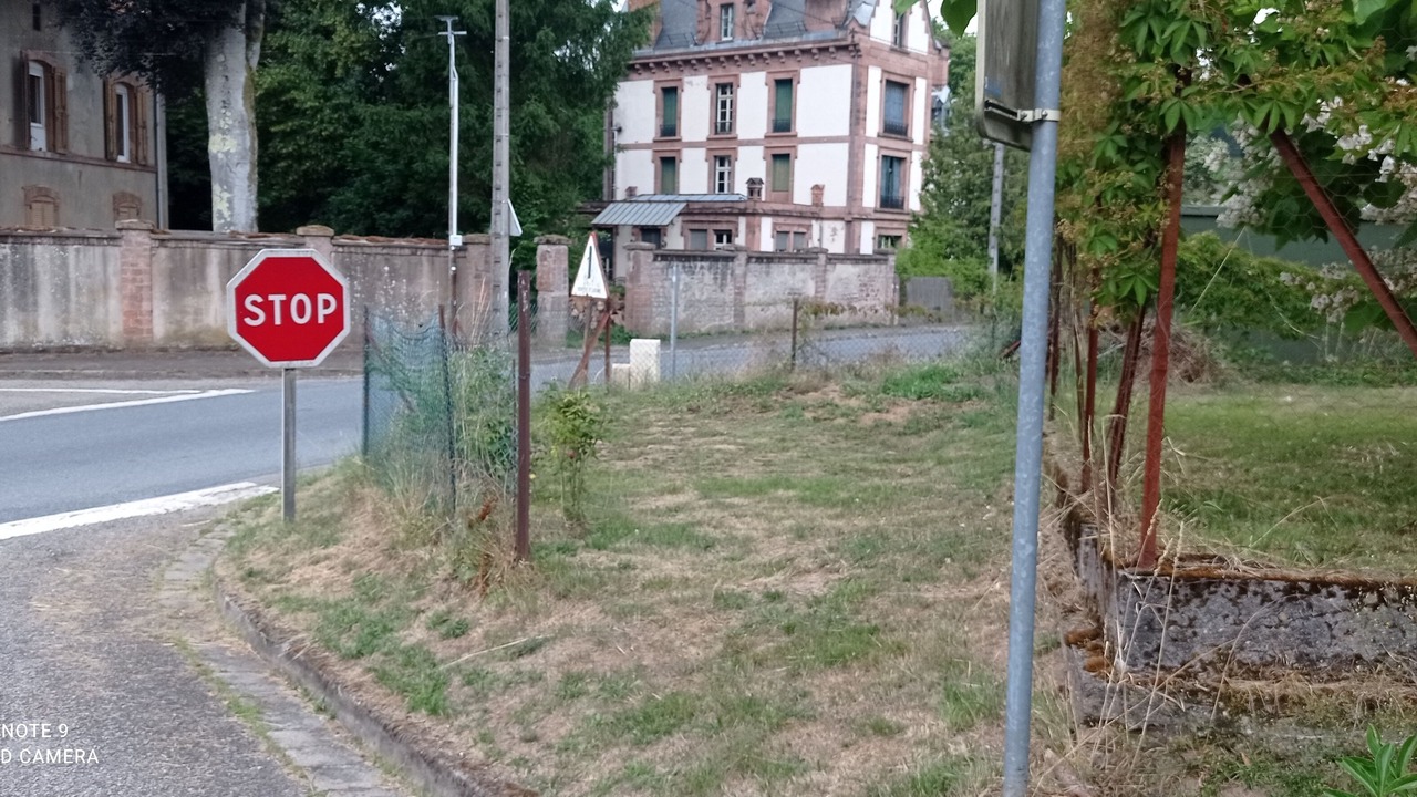 Photo of Outdoor in Celles-sur-Plaine