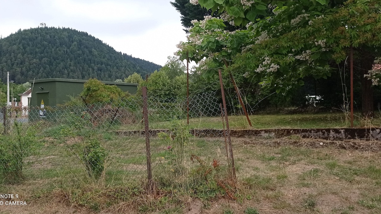 Photo of Outdoor in Celles-sur-Plaine