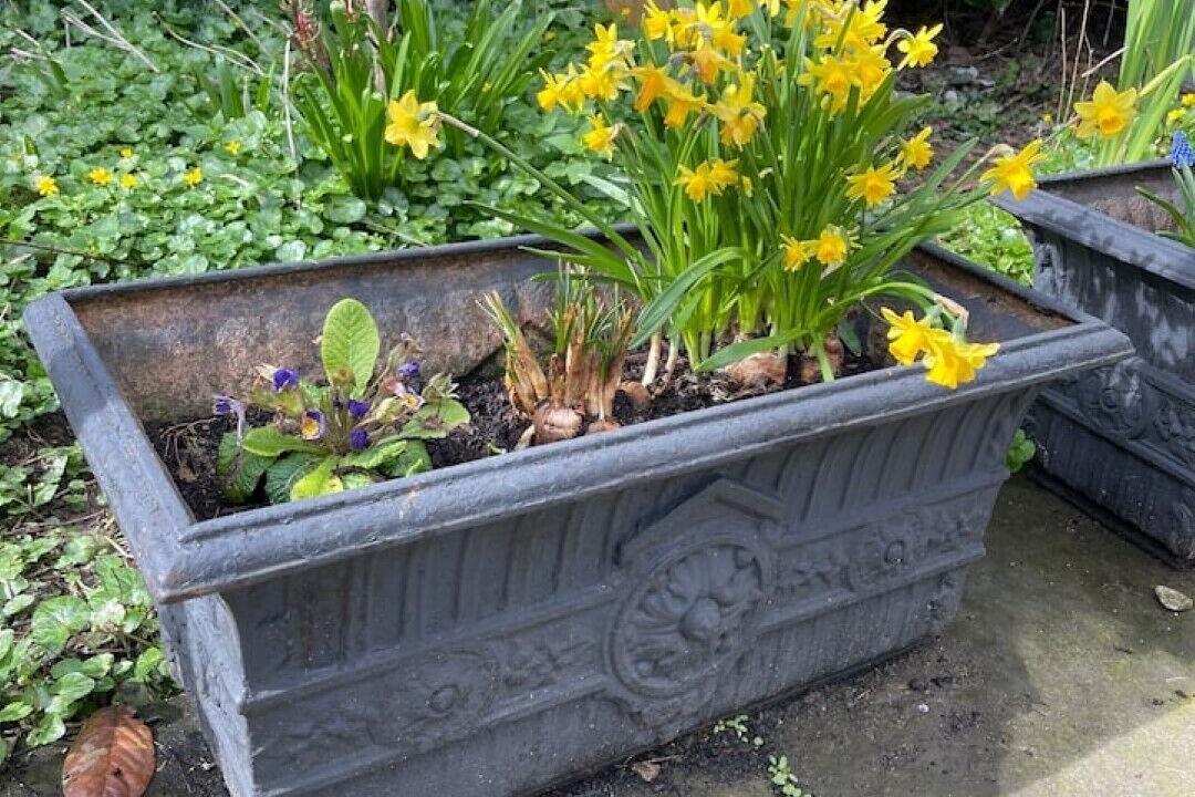 Photo of Outdoor in Atworth