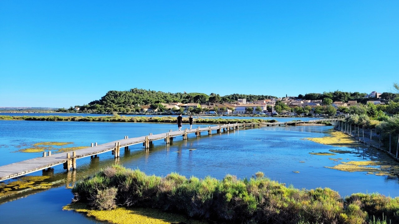 Photo of Others in Portel-des-Corbieres
