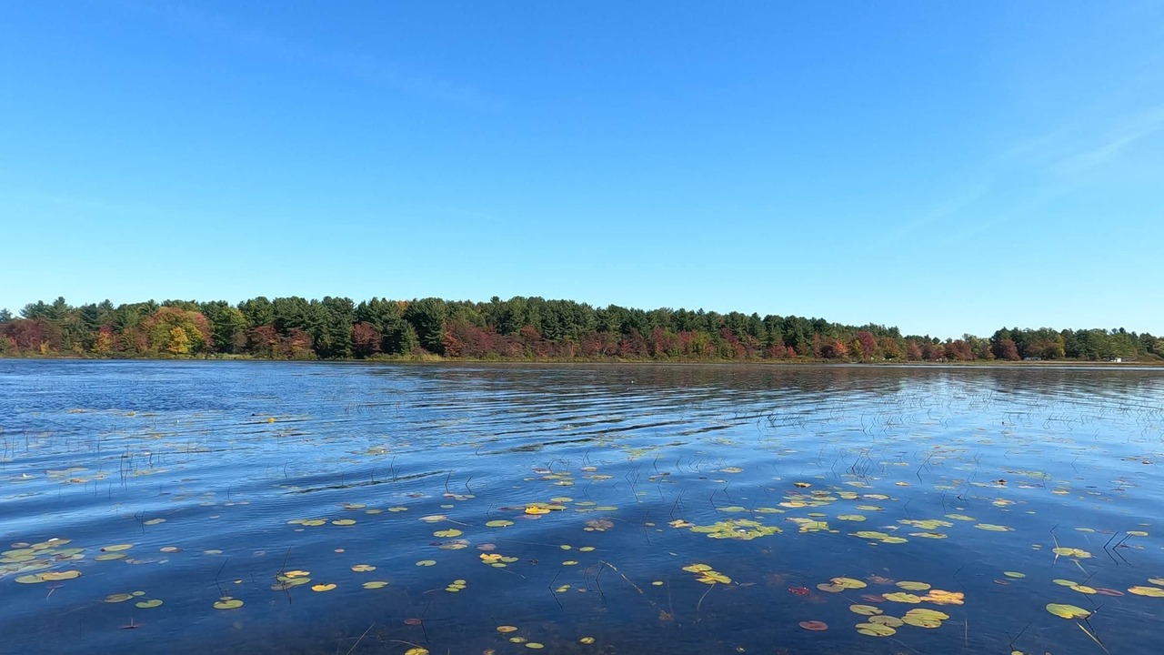 Photo of Outdoor in Spring Lake