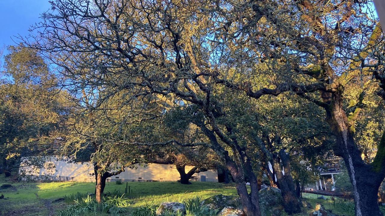 Photo of Outdoor in Napa