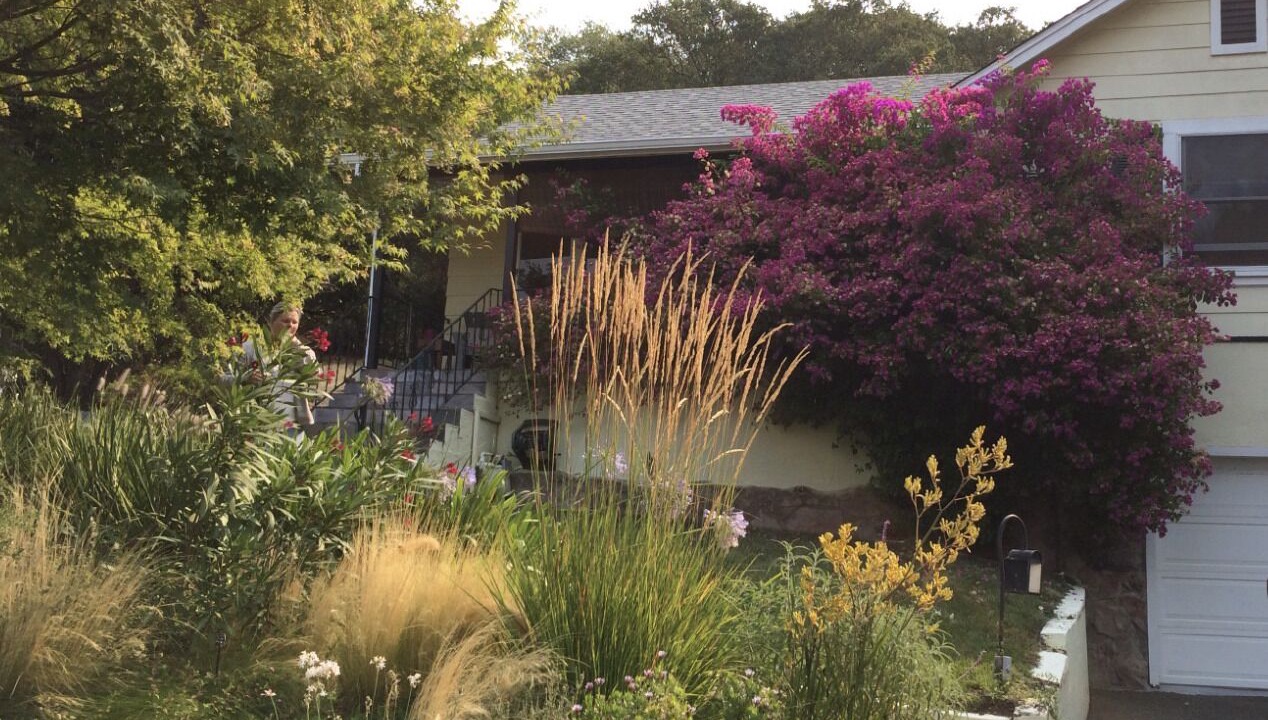 Photo of Outdoor in Napa
