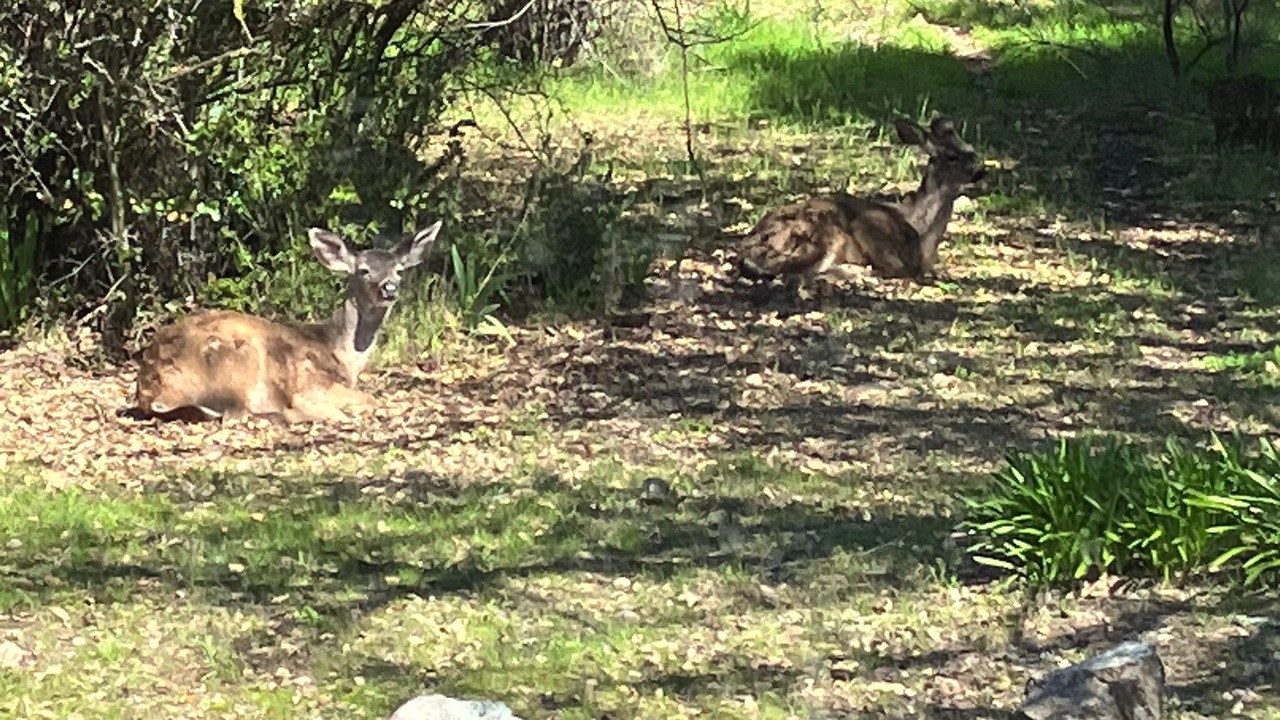 Photo of Outdoor in Napa