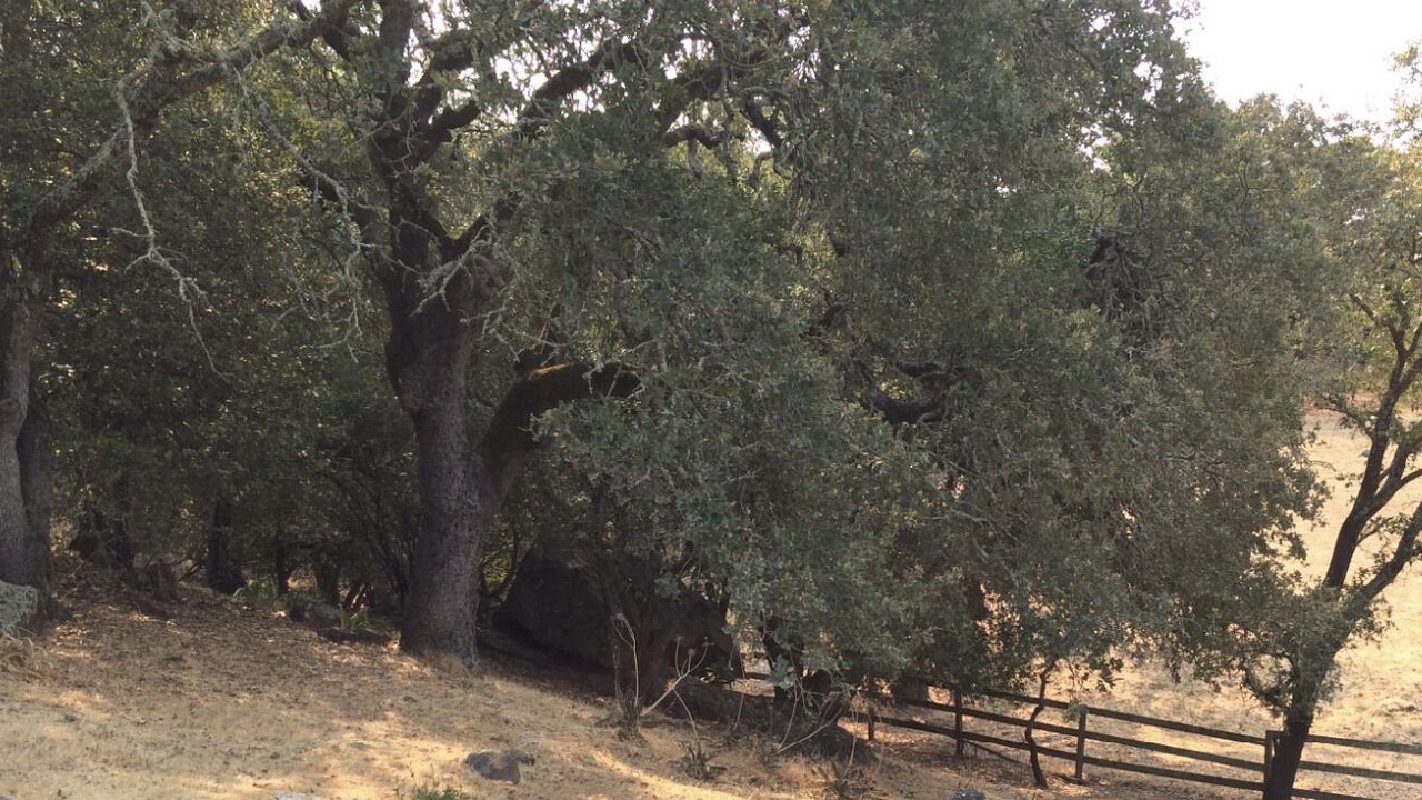 Photo of Outdoor in Napa