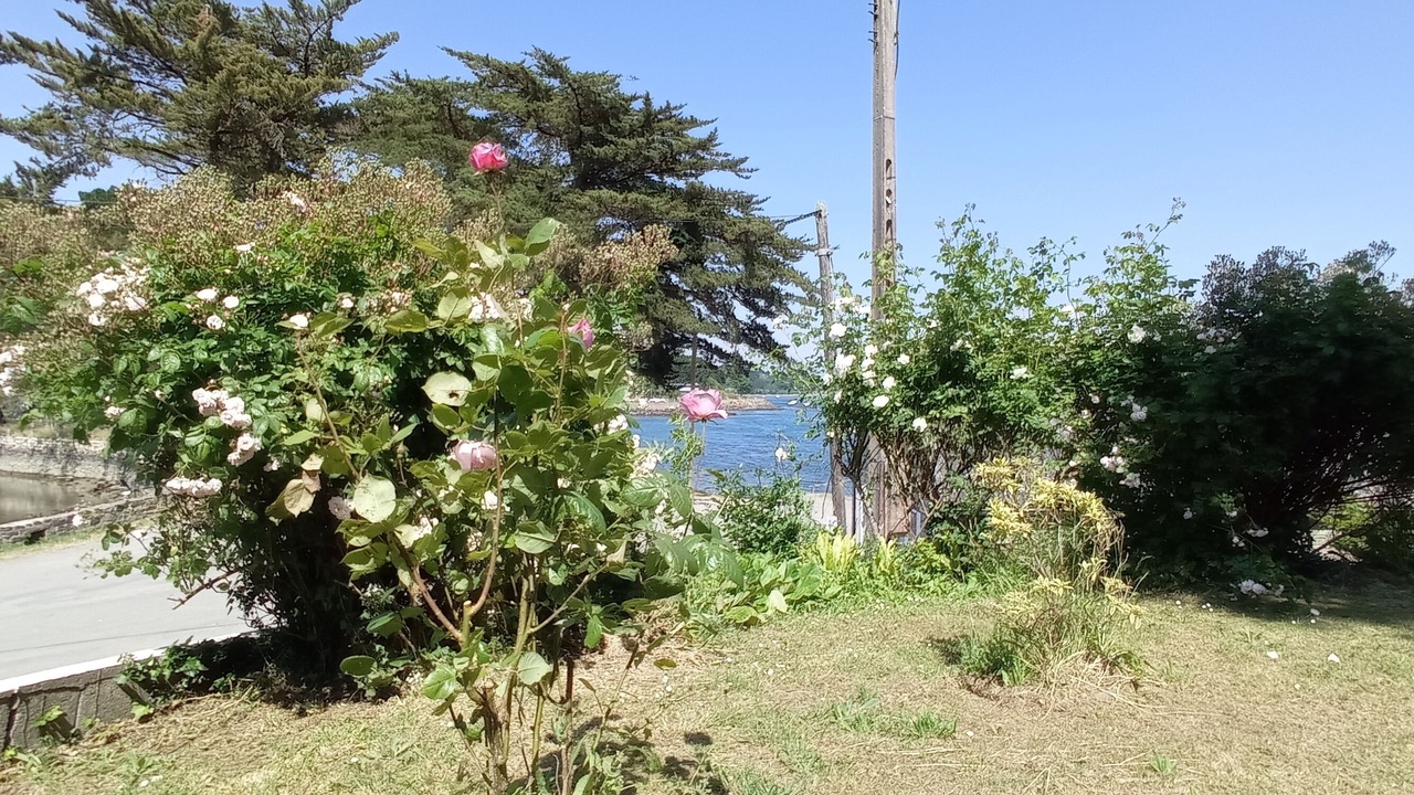 Photo of Outdoor in Logonna-Daoulas