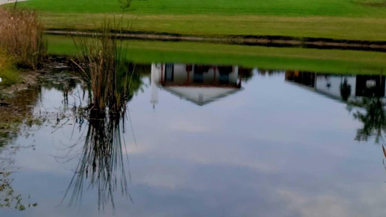 Photo of Outdoor in Tea