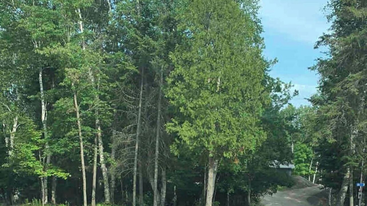 Photo of Others in Chute-Saint-Philippe
