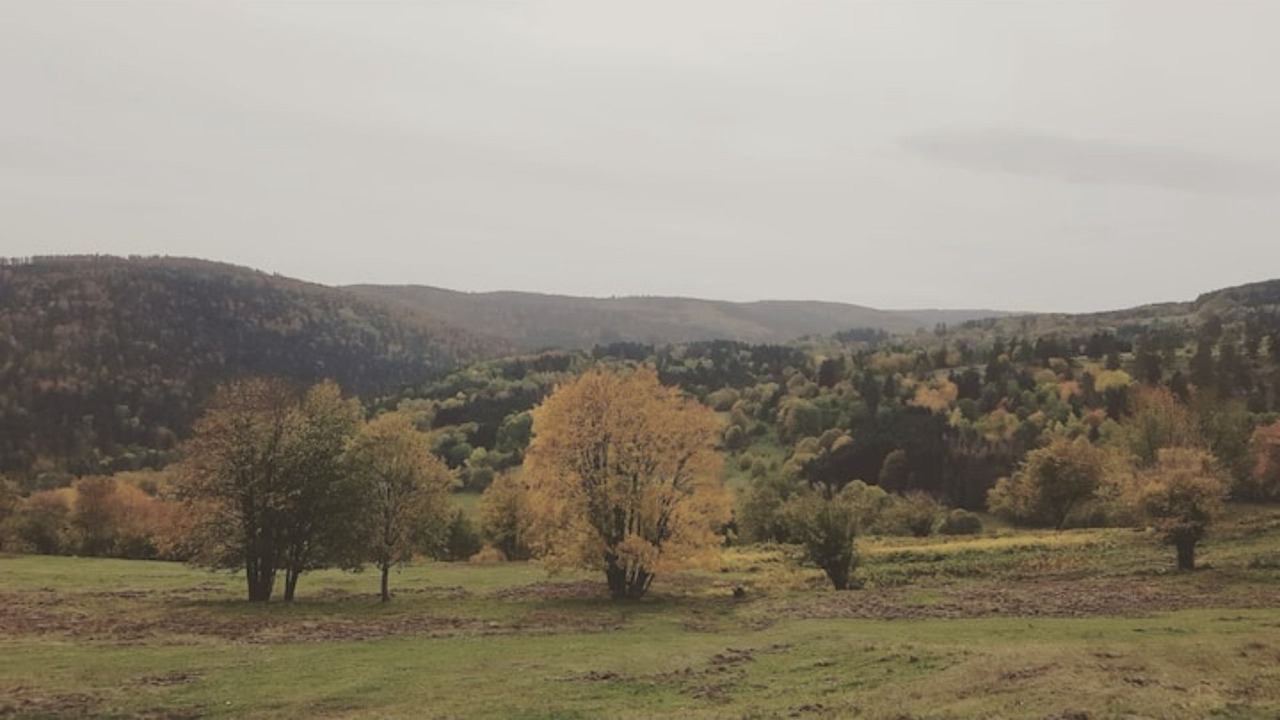 Photo of Outdoor in Grendelbruch