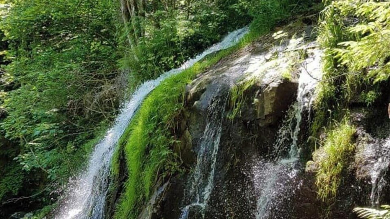 Photo of Others in Grendelbruch