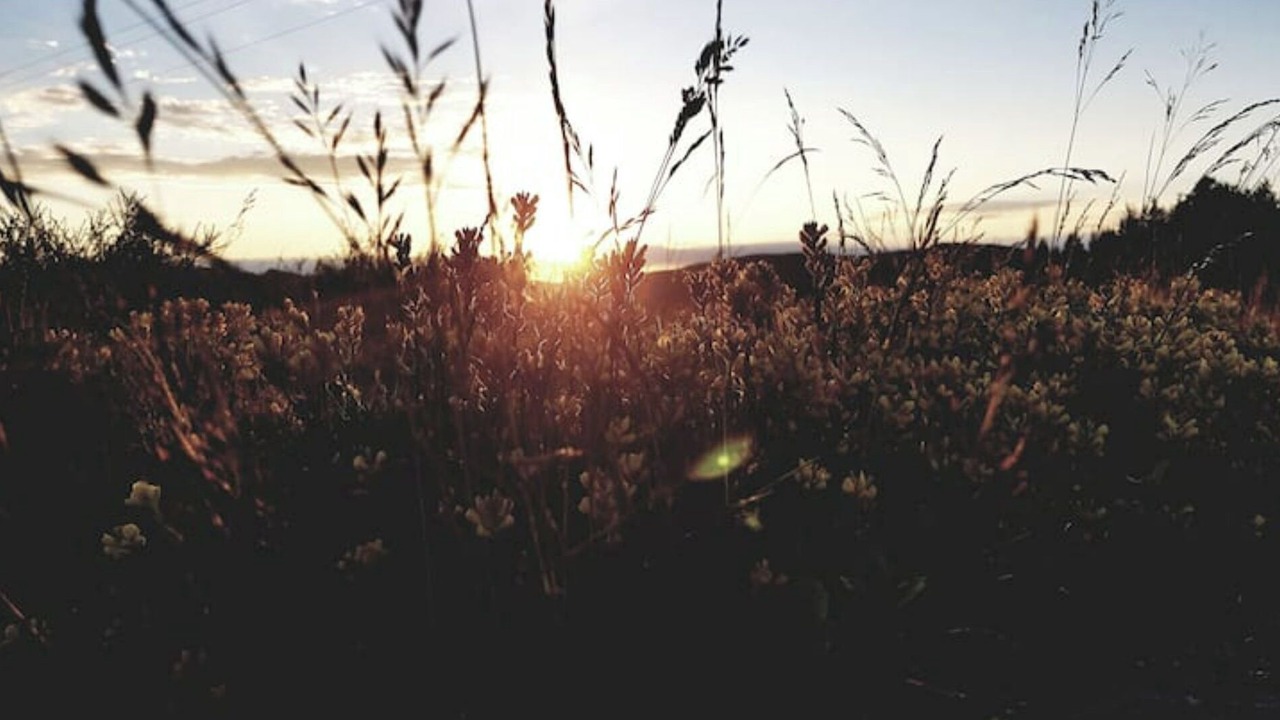 Photo of Others in Grendelbruch