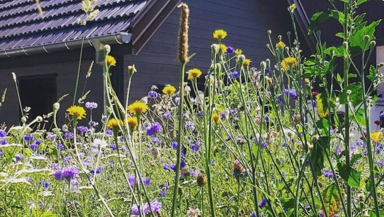 Photo of Outdoor in Grendelbruch