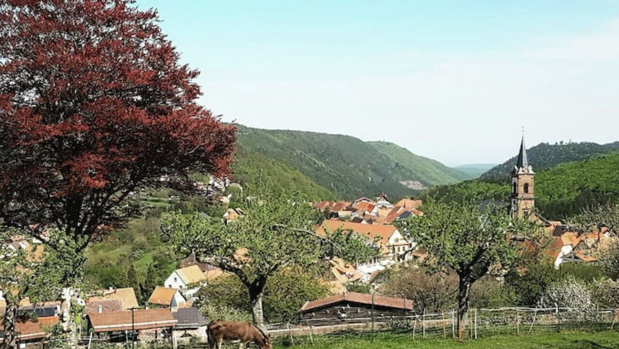 Photo of Outdoor in Grendelbruch