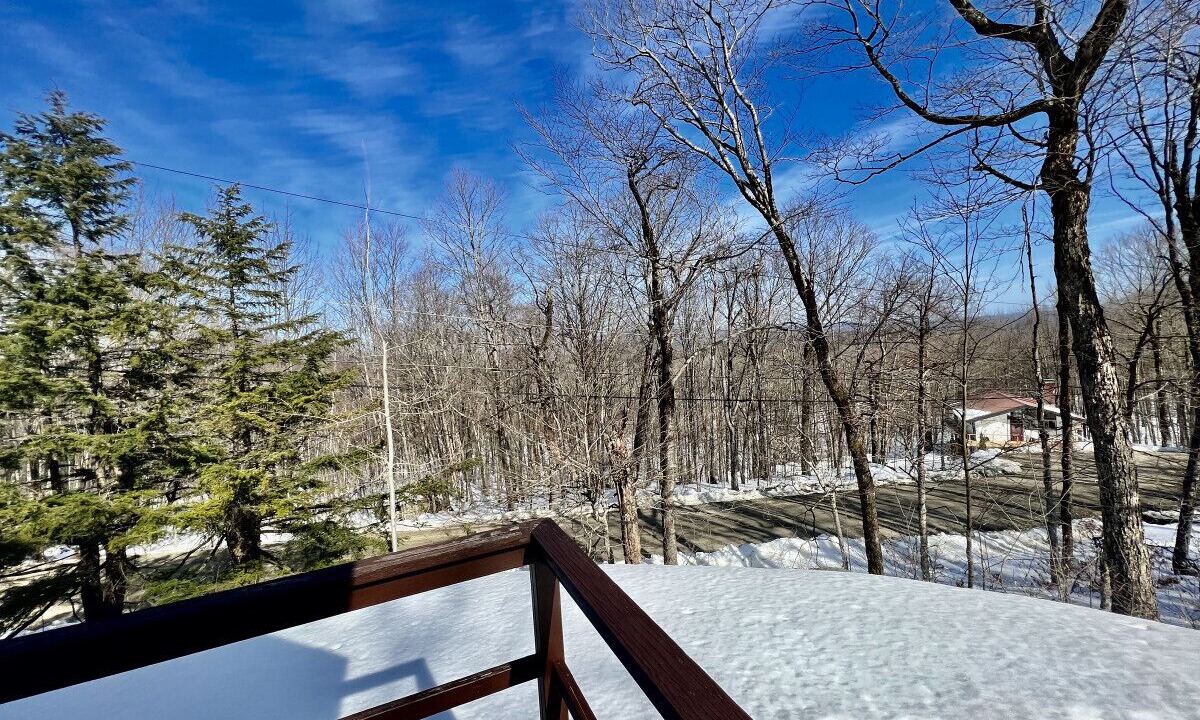 Photo of Others in Stratton and Bromley Ski Areas