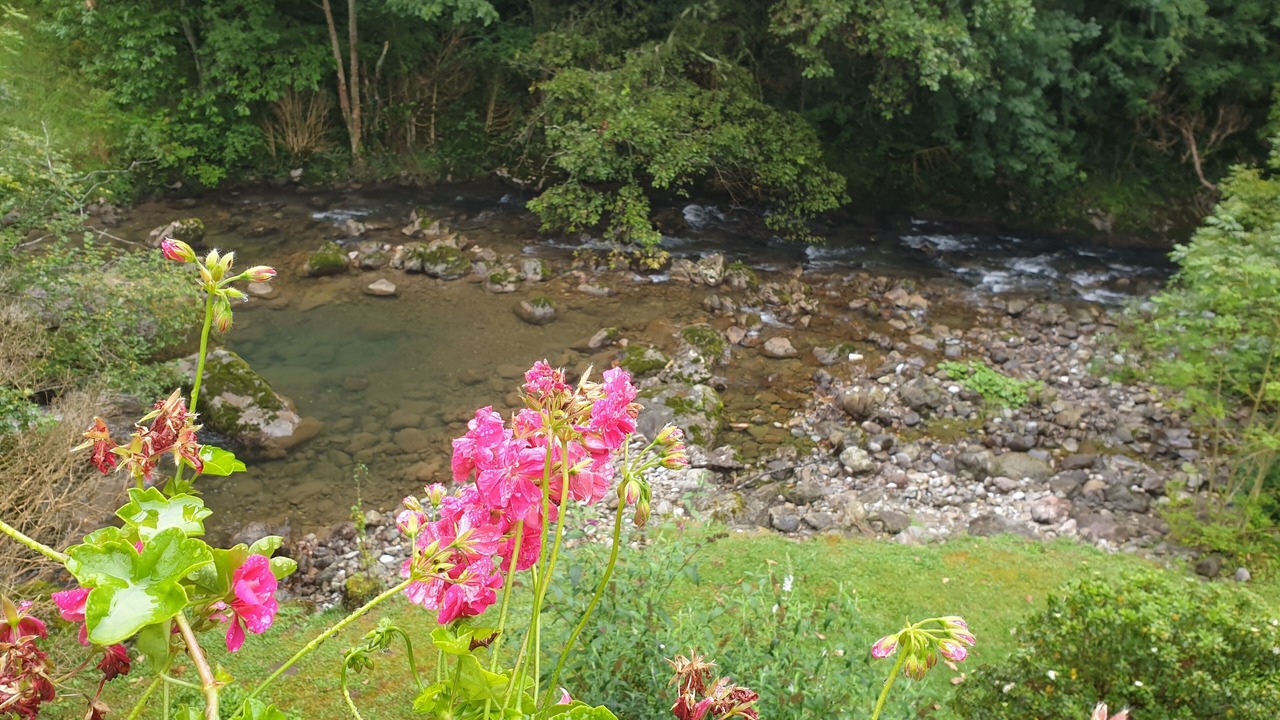 Photo of Outdoor in Esterencuby