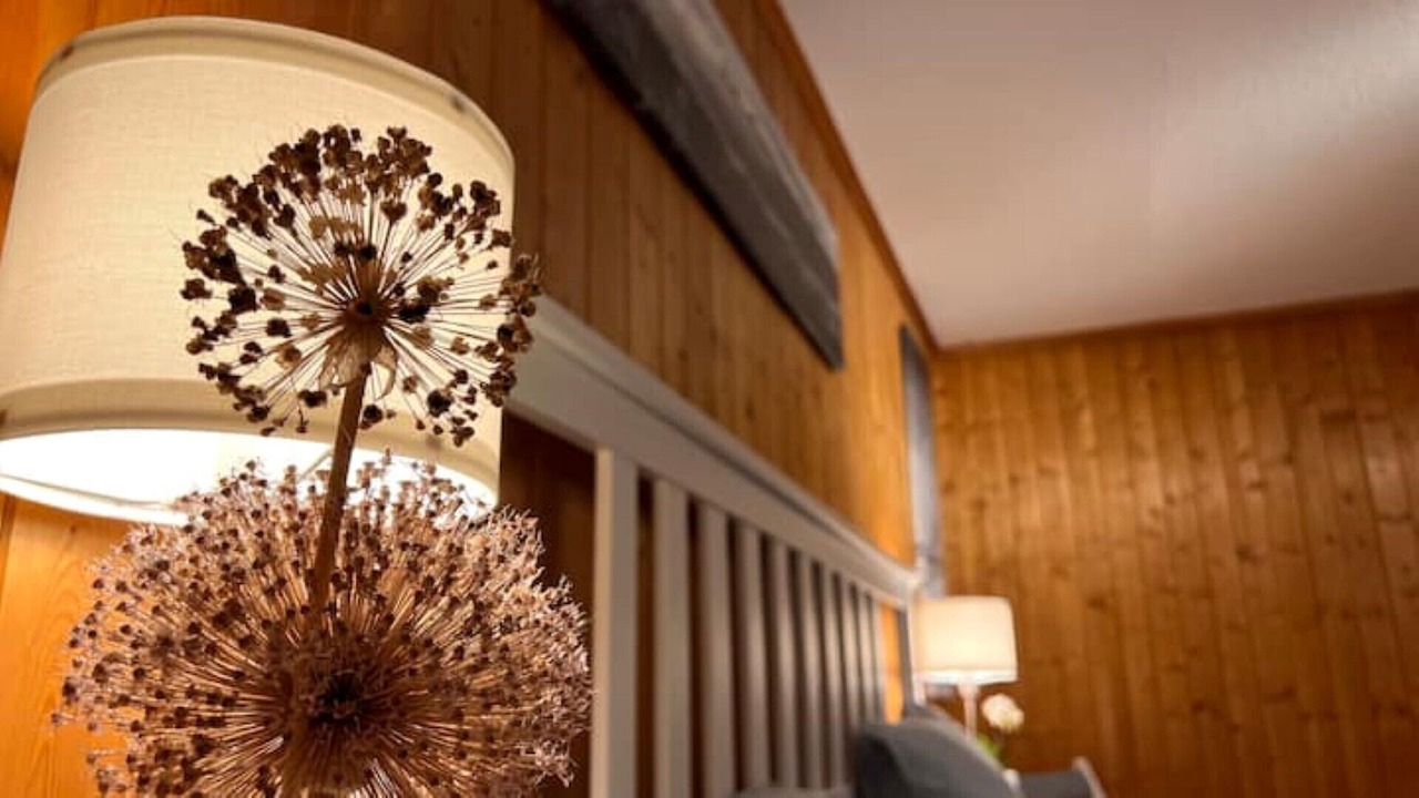 Photo of Others in Central Interlaken