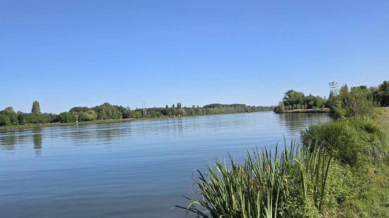 Photo of Others in Libourne