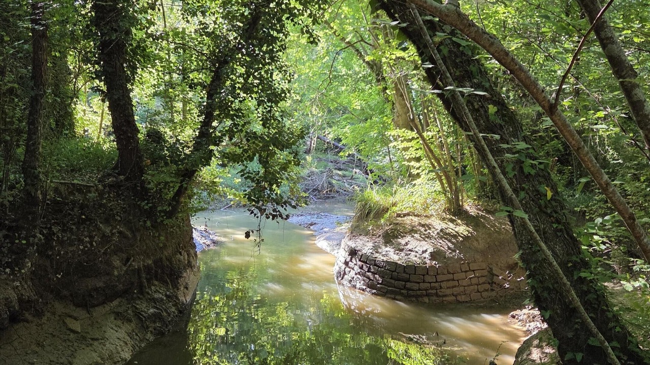 Photo of Others in Libourne