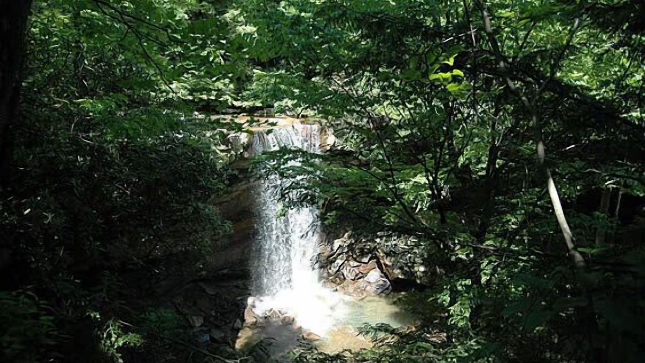 Photo of Others in Ohiopyle