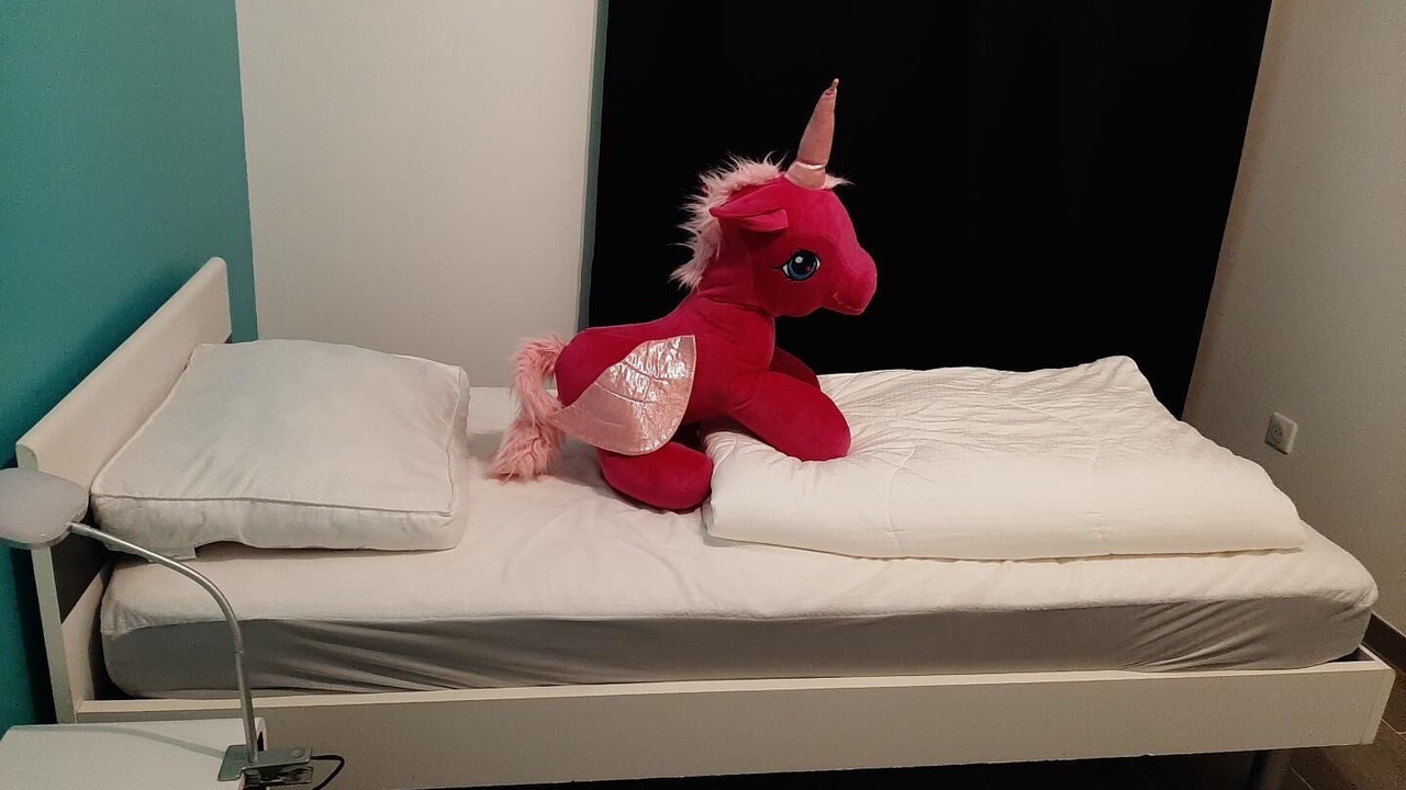 Photo of Bedroom in Piney