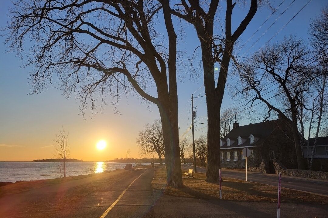 Photo of Others in Lachine