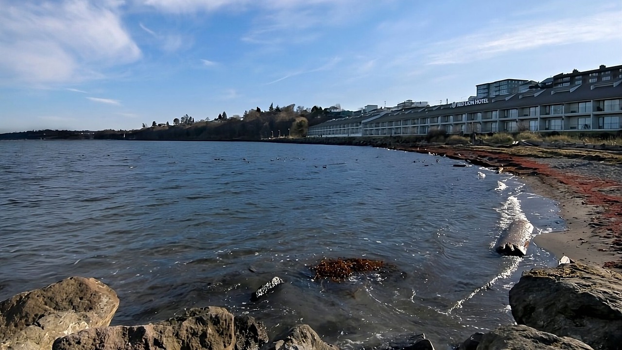 Photo of Others in Port Angeles