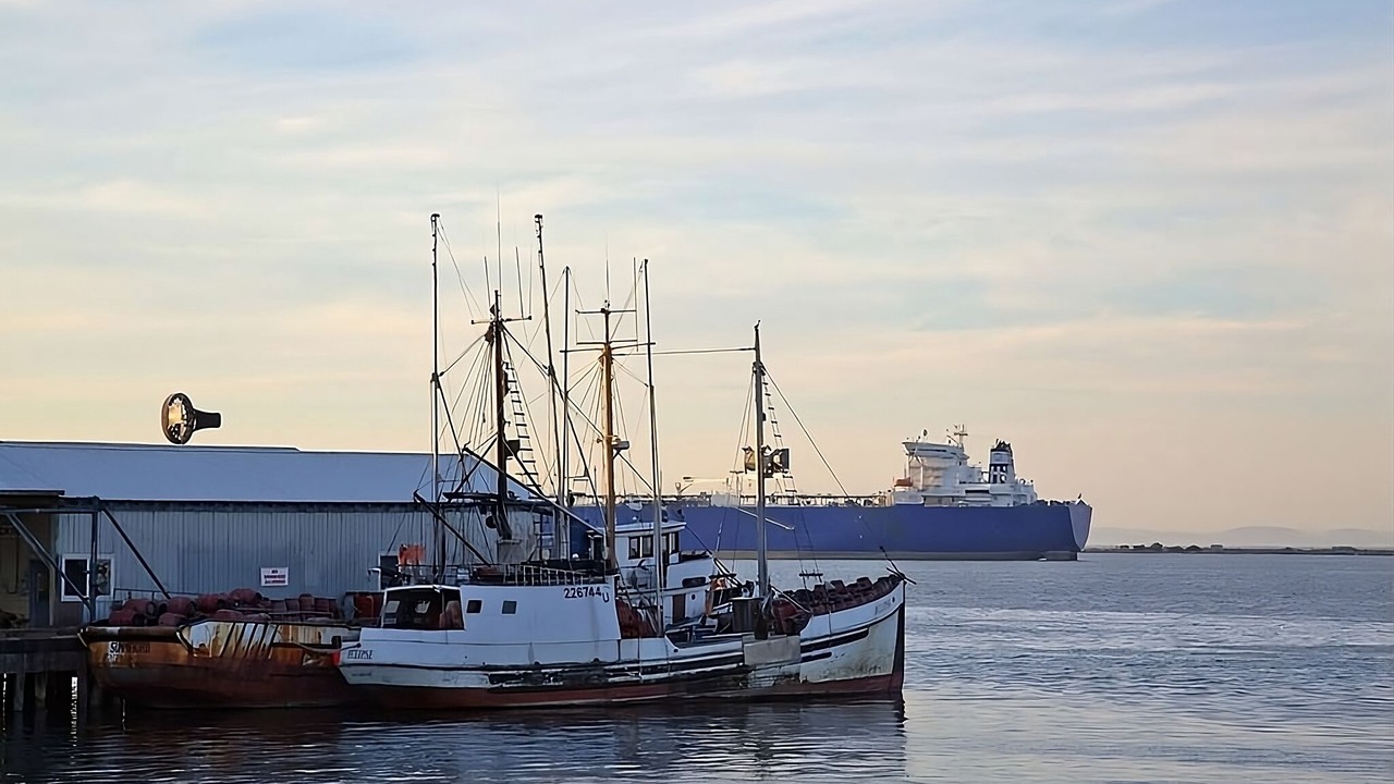 Photo of Others in Port Angeles
