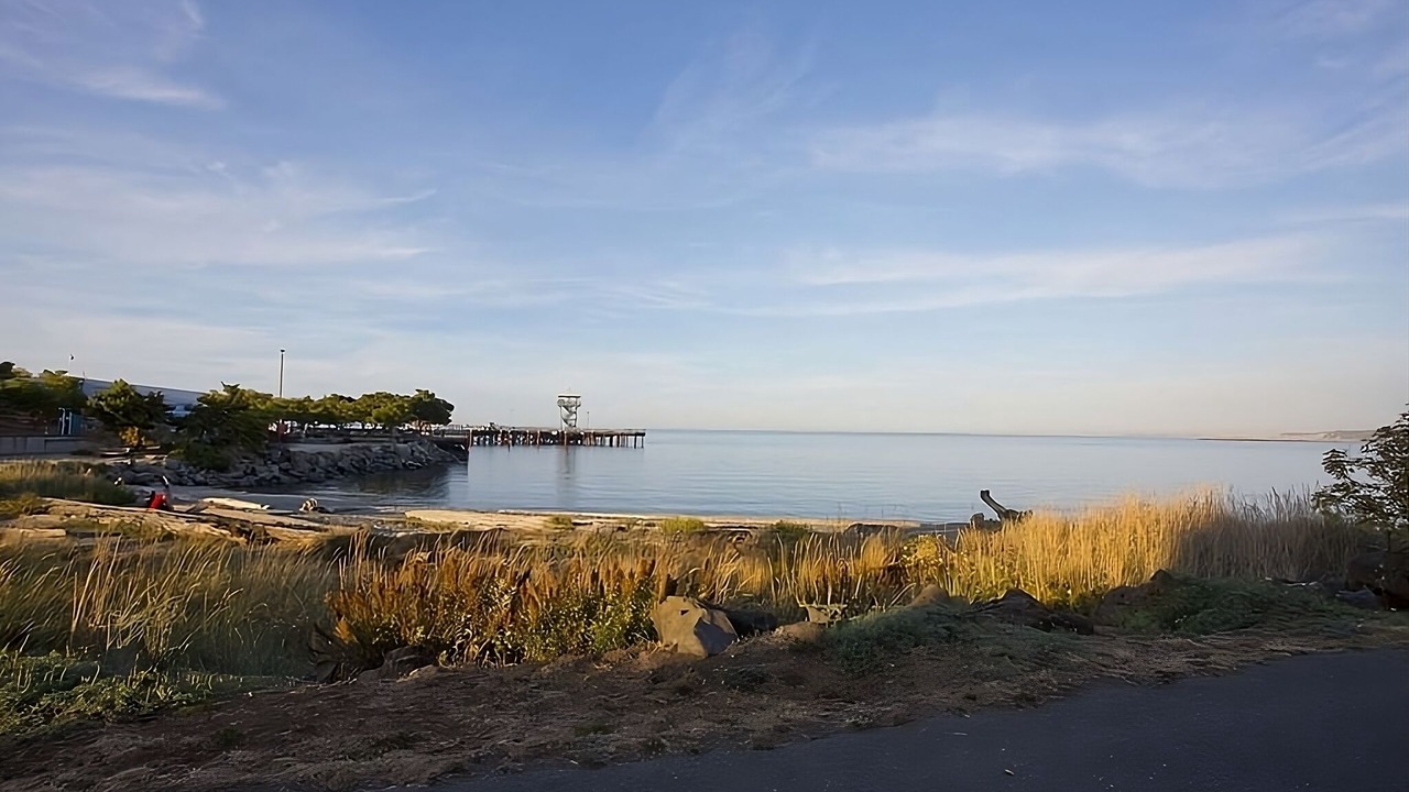Photo of Others in Port Angeles