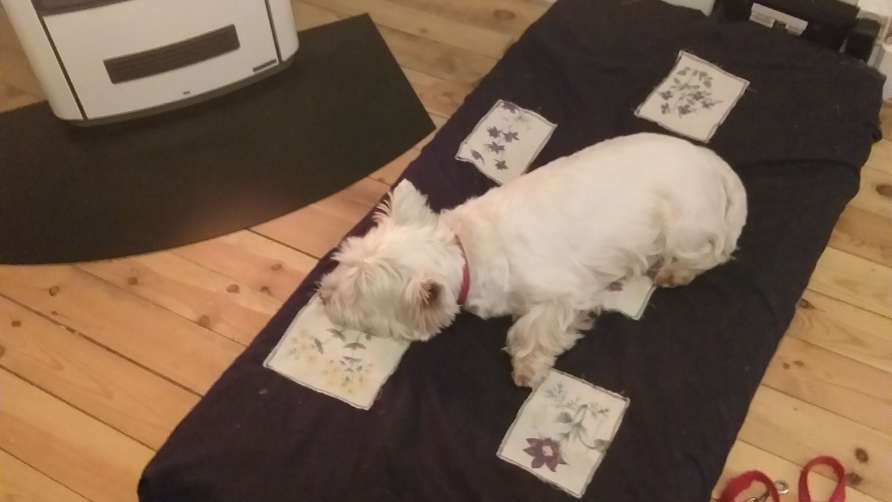 Photo of Others in Saint-Antheme